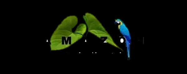 Amazon Natural Spring Water