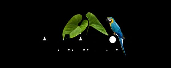 Amazon Spring Water logo