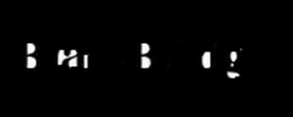 Brainbridg