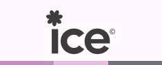 Welsh ICE logo