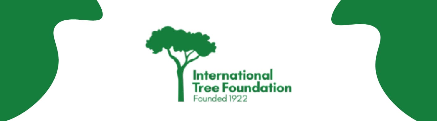 International Tree Foundation logo