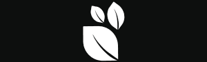 Kaezn logo