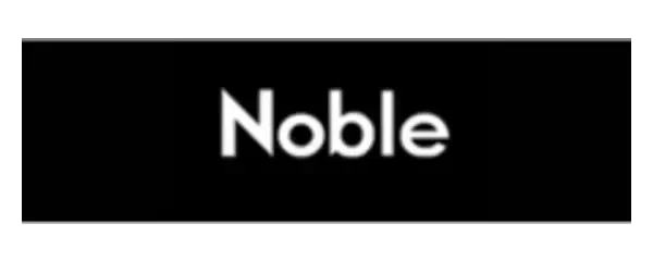 Noble Knights Group logo