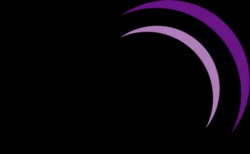 CPiO Limited logo