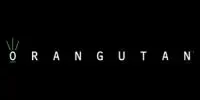 Orangutan