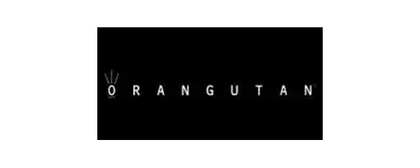 Orangutan