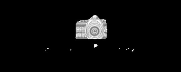 Sam Gavins logo