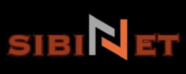 Sibinet Limited logo