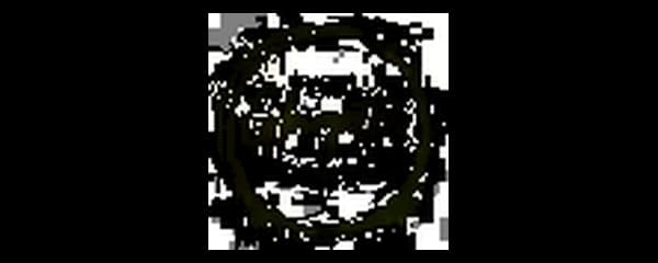 Signature D Ltd