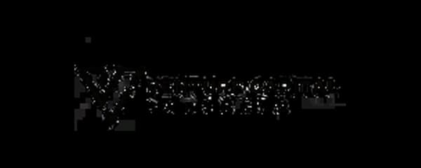 Venture Capital Partners logo