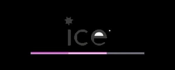 Welsh ICE logo